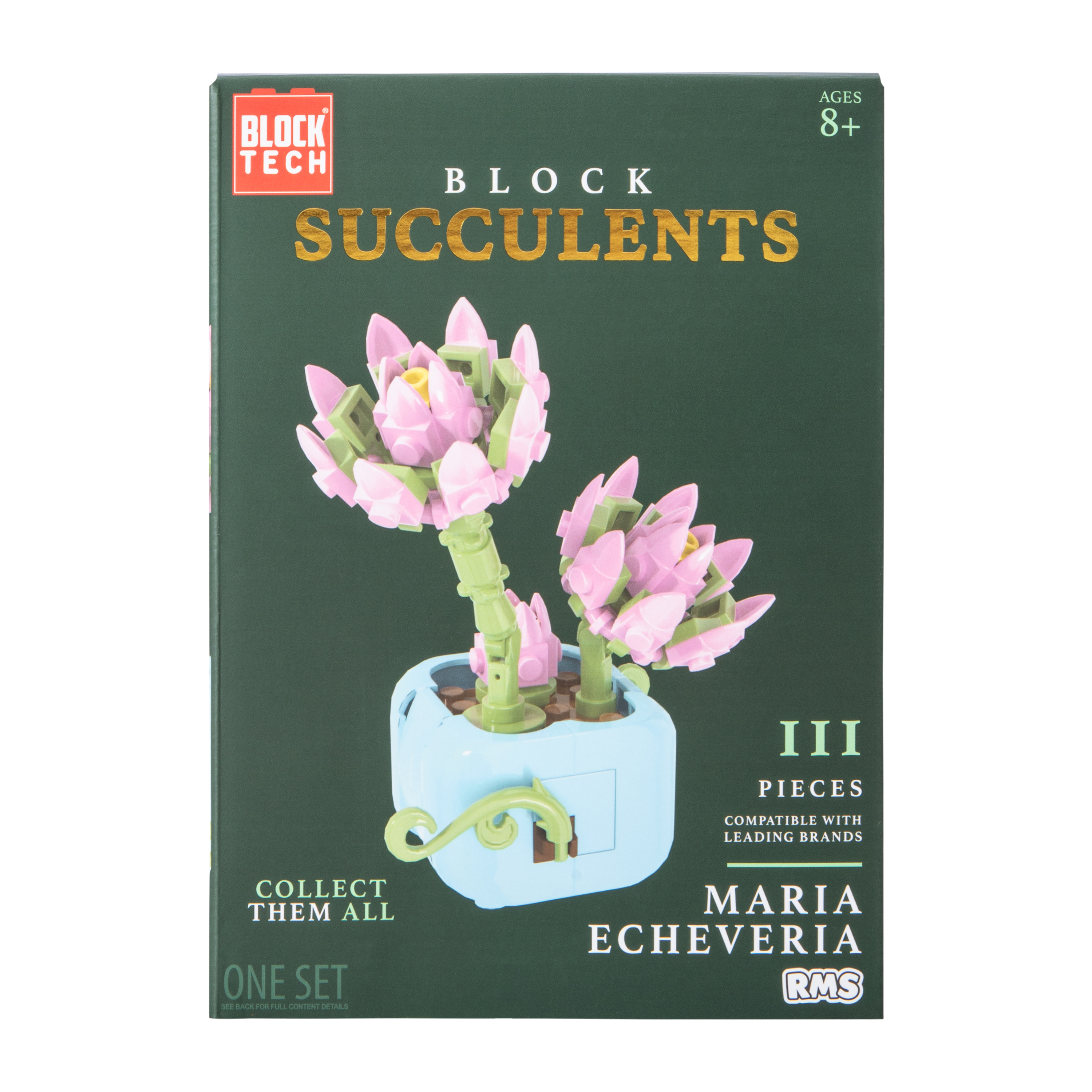 Block Tech® Block Succulents Set | Five Below