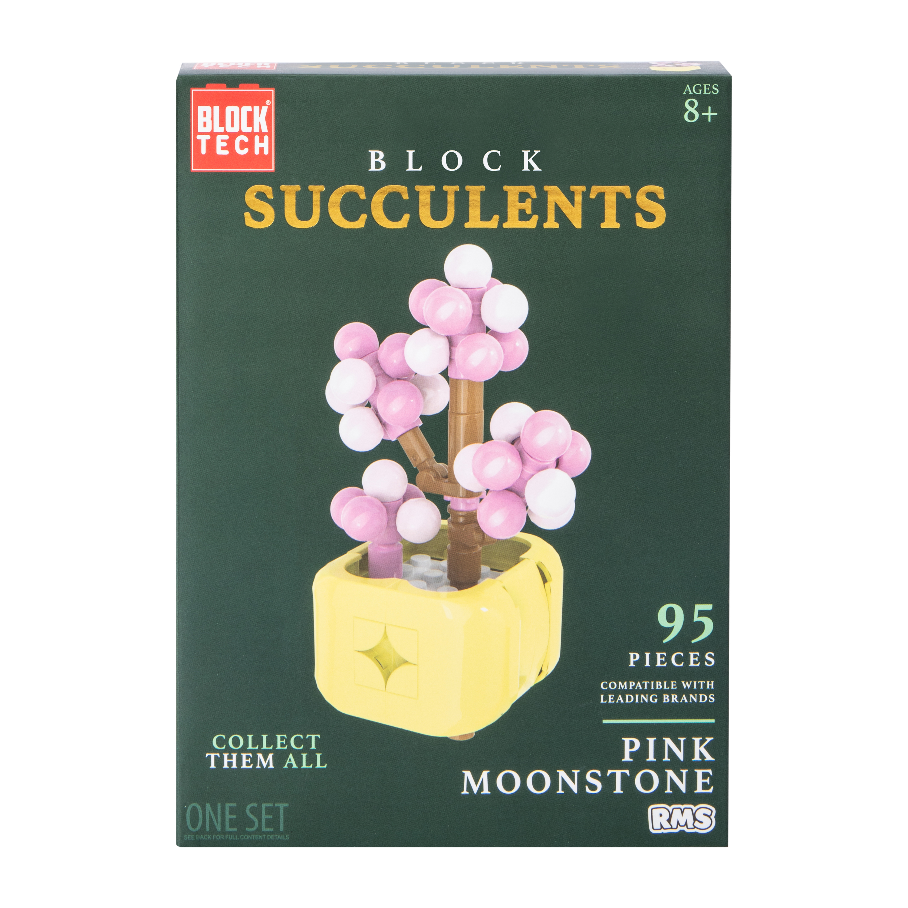 Block Tech® Block Succulents Set | Five Below