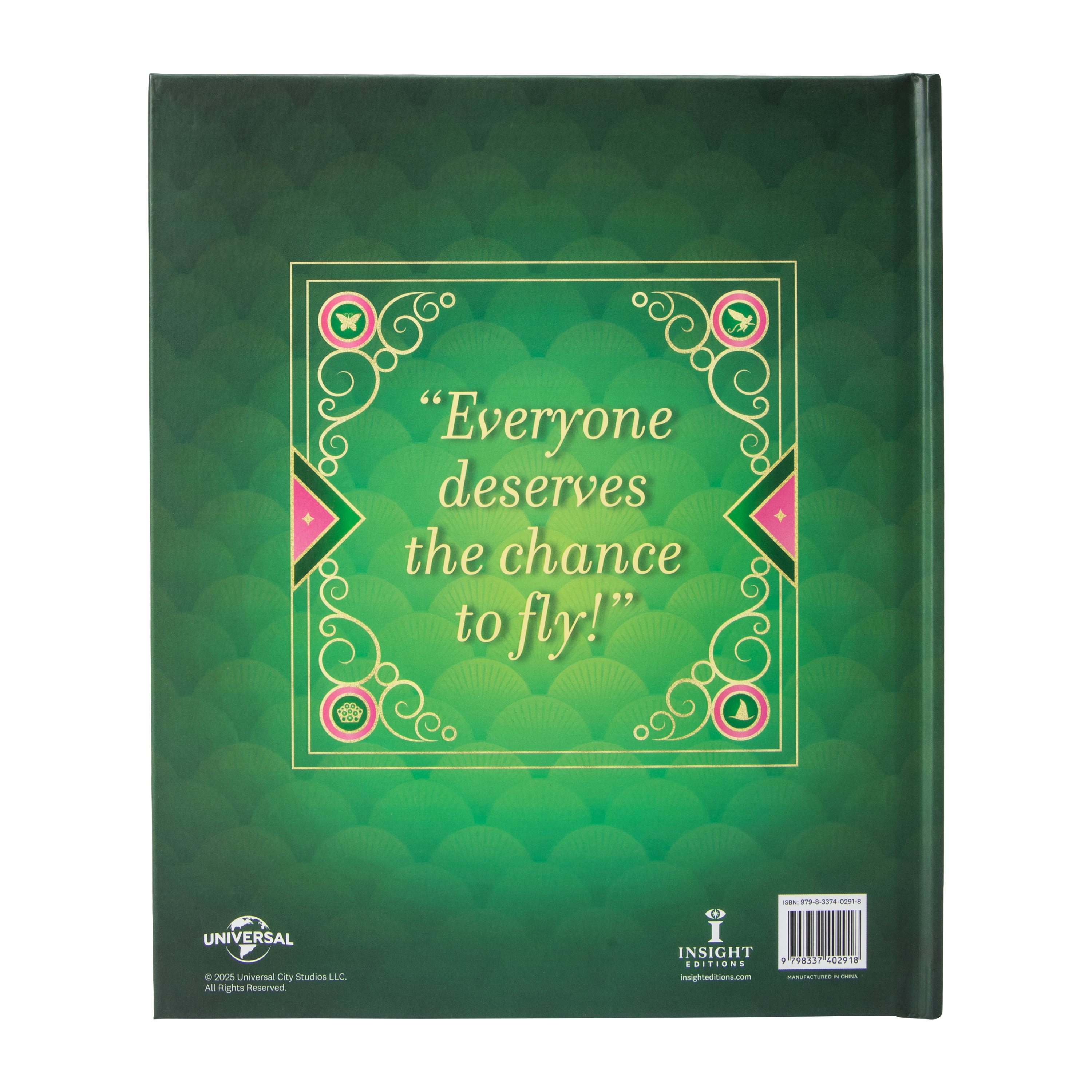 Wicked Defying Gravity Illustrated Lyrics Book