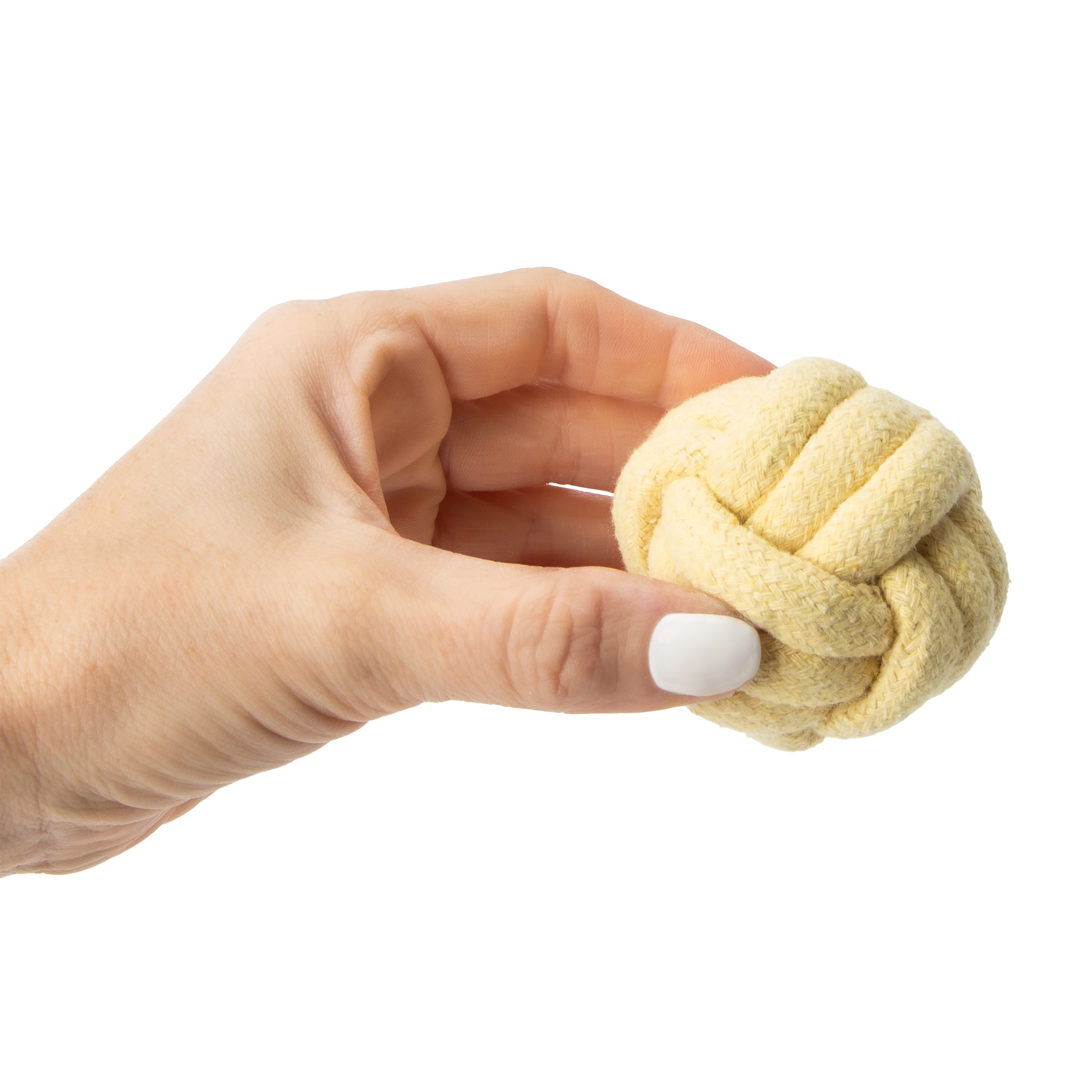 Pet Ball Toy 4-Pack (Styles May Vary)