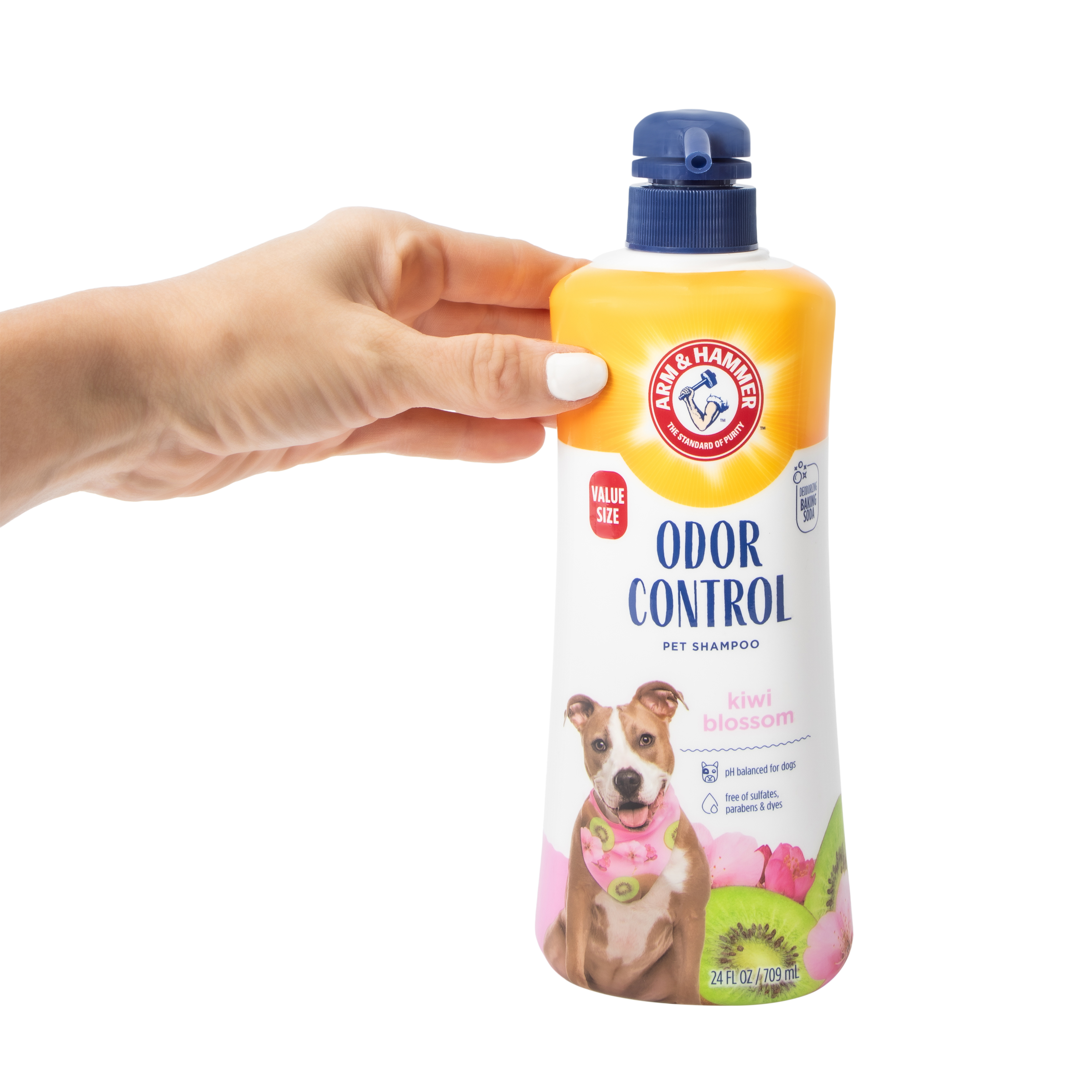 Arm & Hammer™ Kiwi Blossom Odor Control 24oz