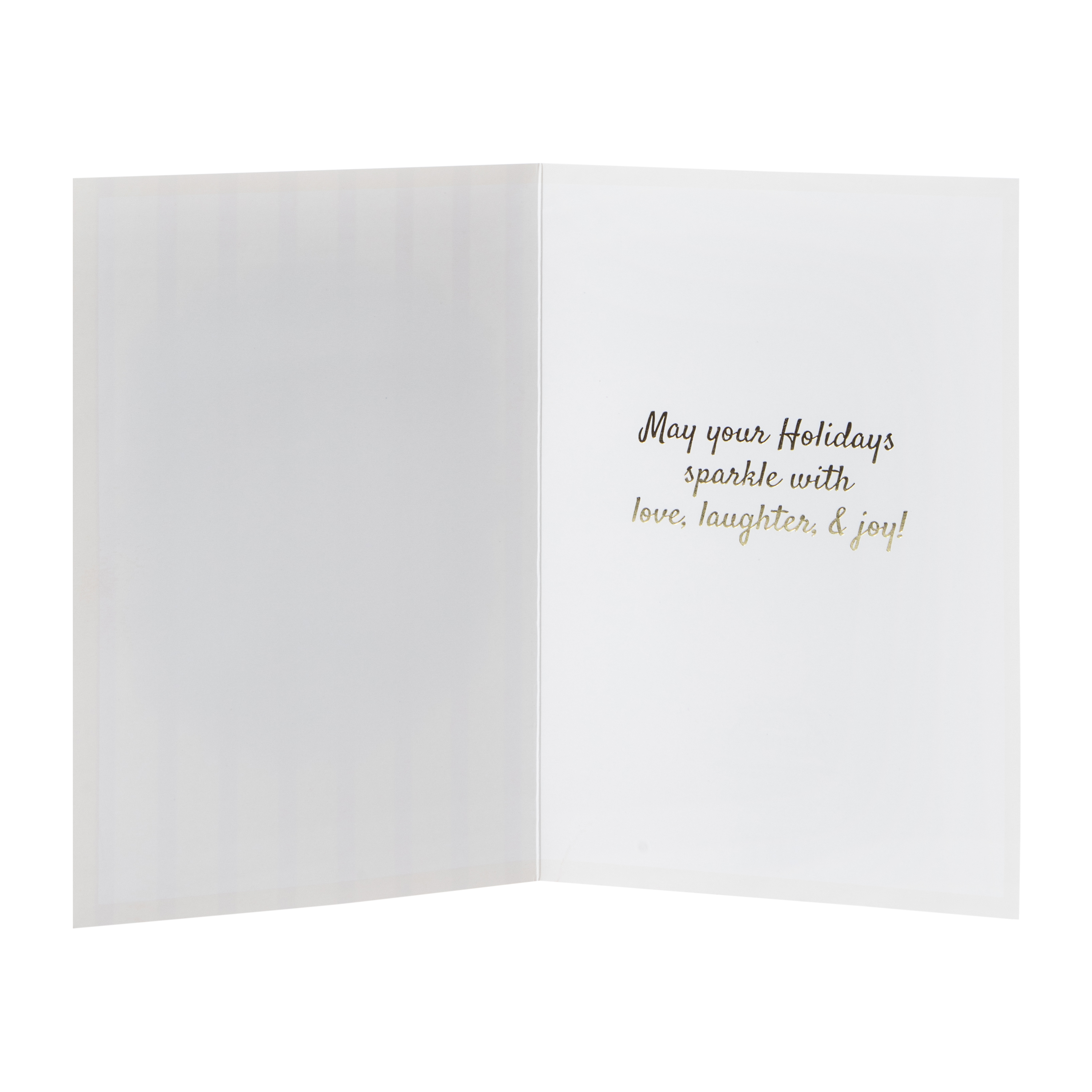 Christmas Holiday Card