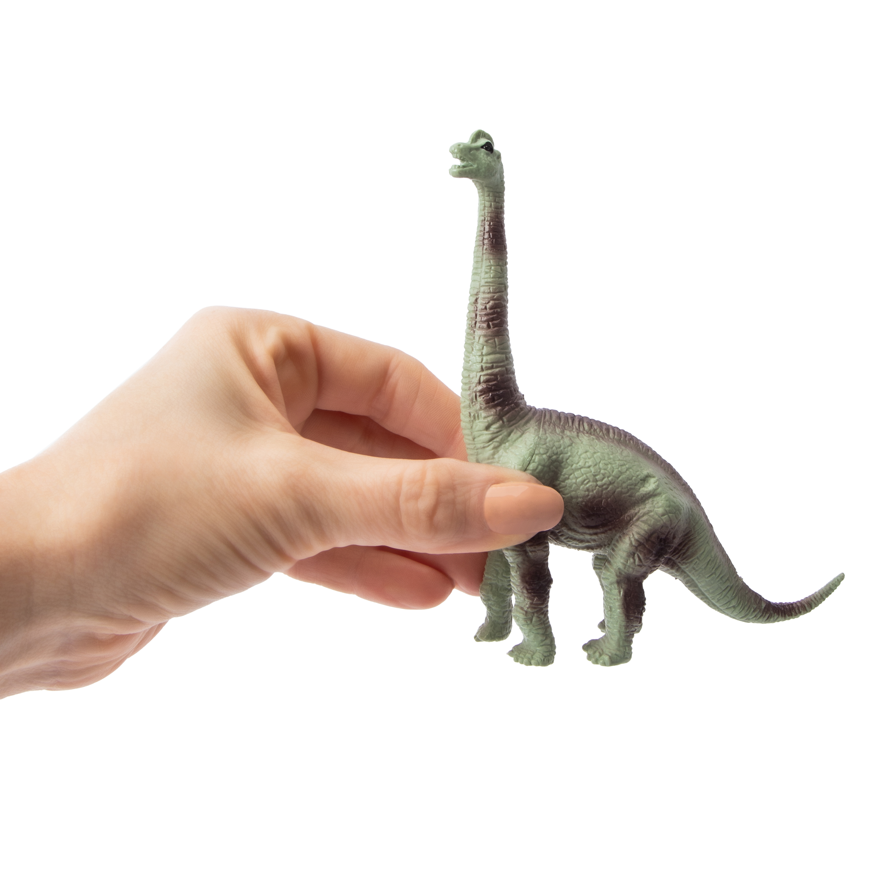 Dinosaurs Set 5-Pack (Styles May Vary)