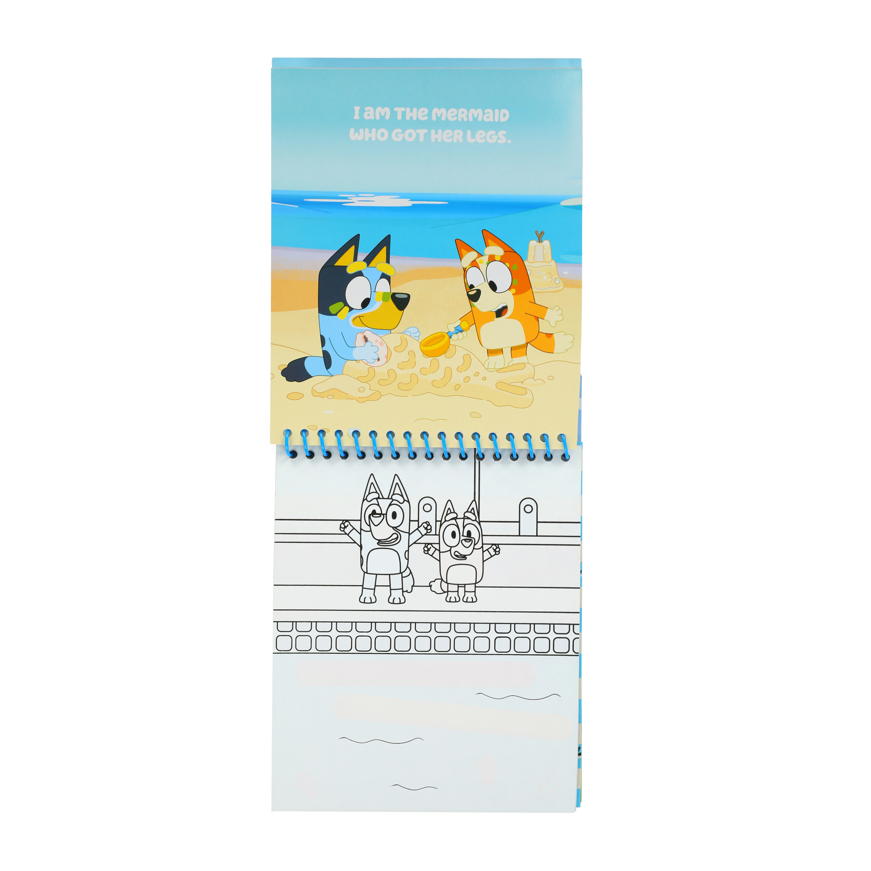 Bluey™ Aqua Art™ Set