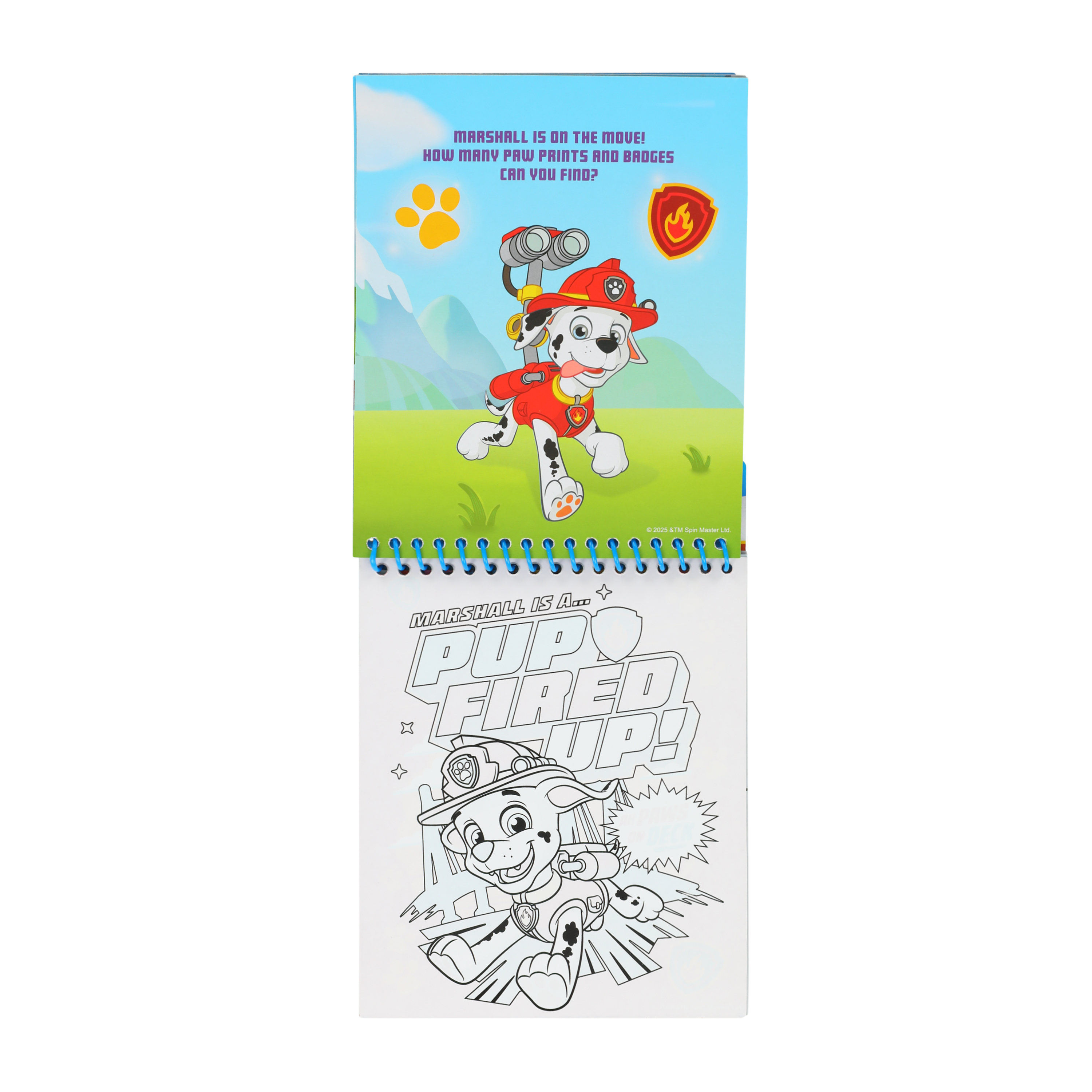 Paw Patrol Aqua Art™ Set