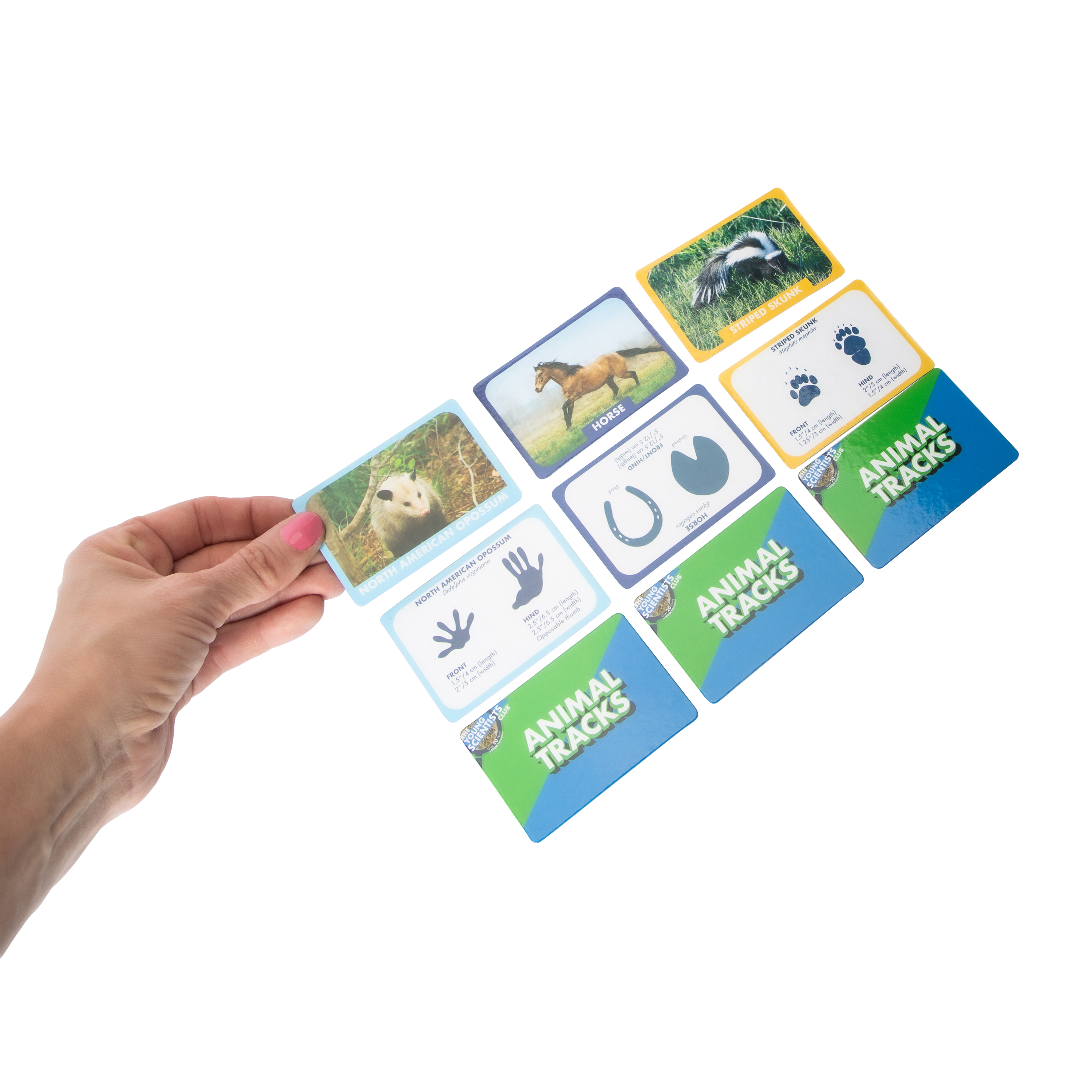 The Young Scientists Club™ Animal Tracking Games Set