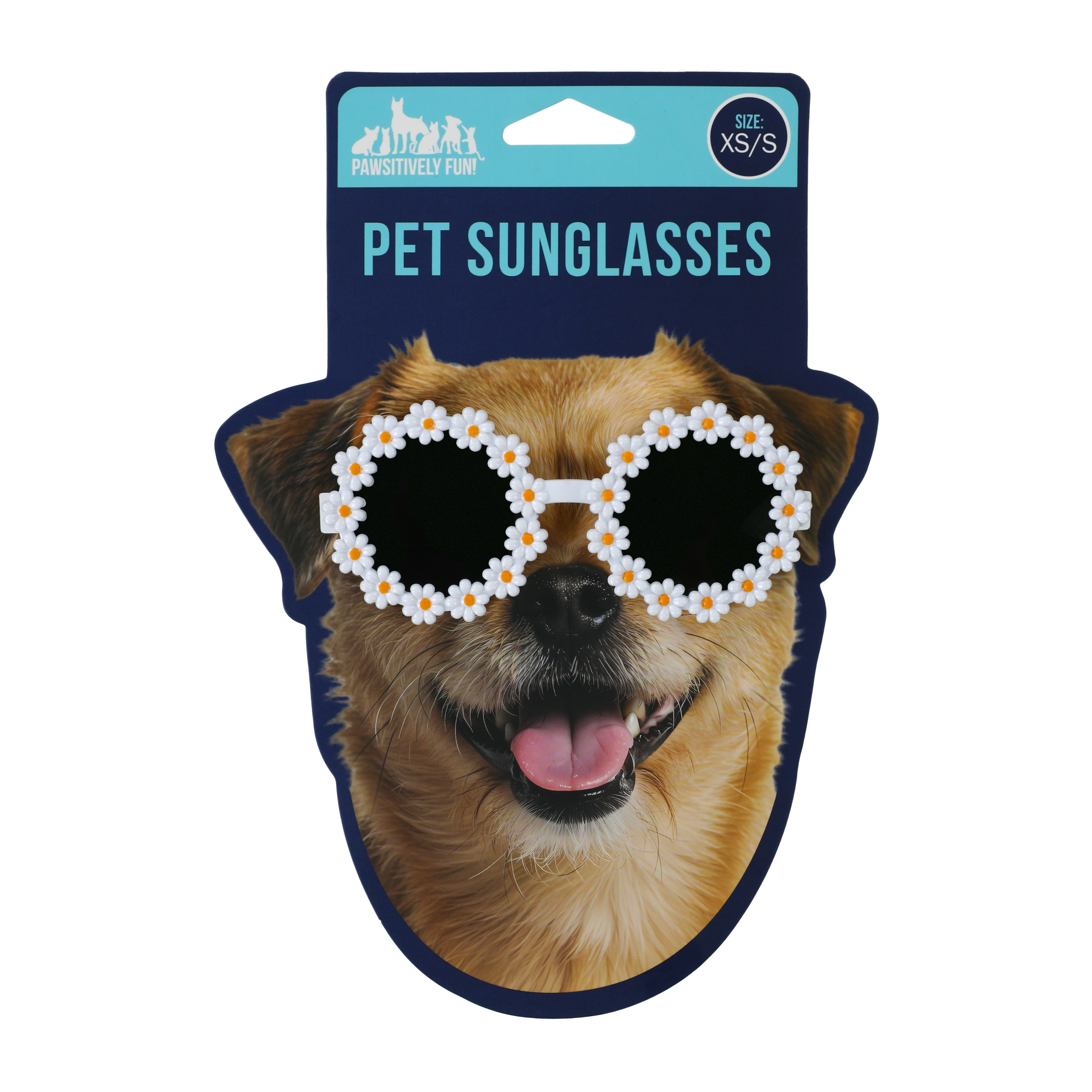 Pawsitively Fun! Pet Sunglasses
