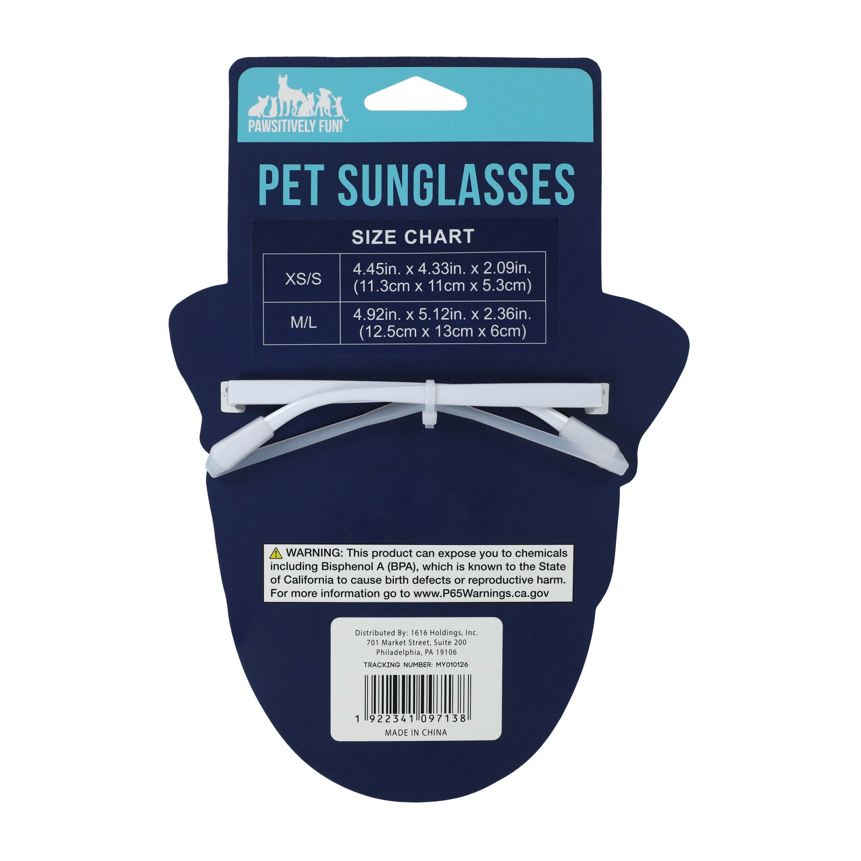 Pawsitively Fun! Pet Sunglasses