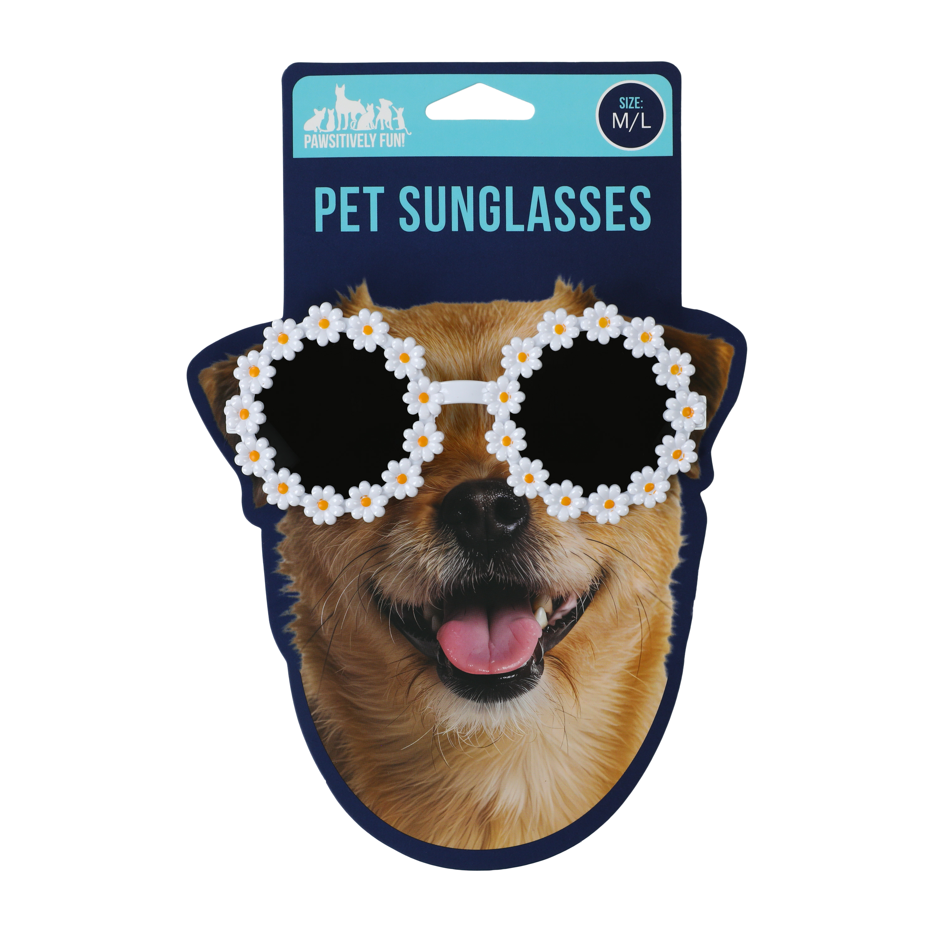 Pawsitively Fun! Pet Sunglasses