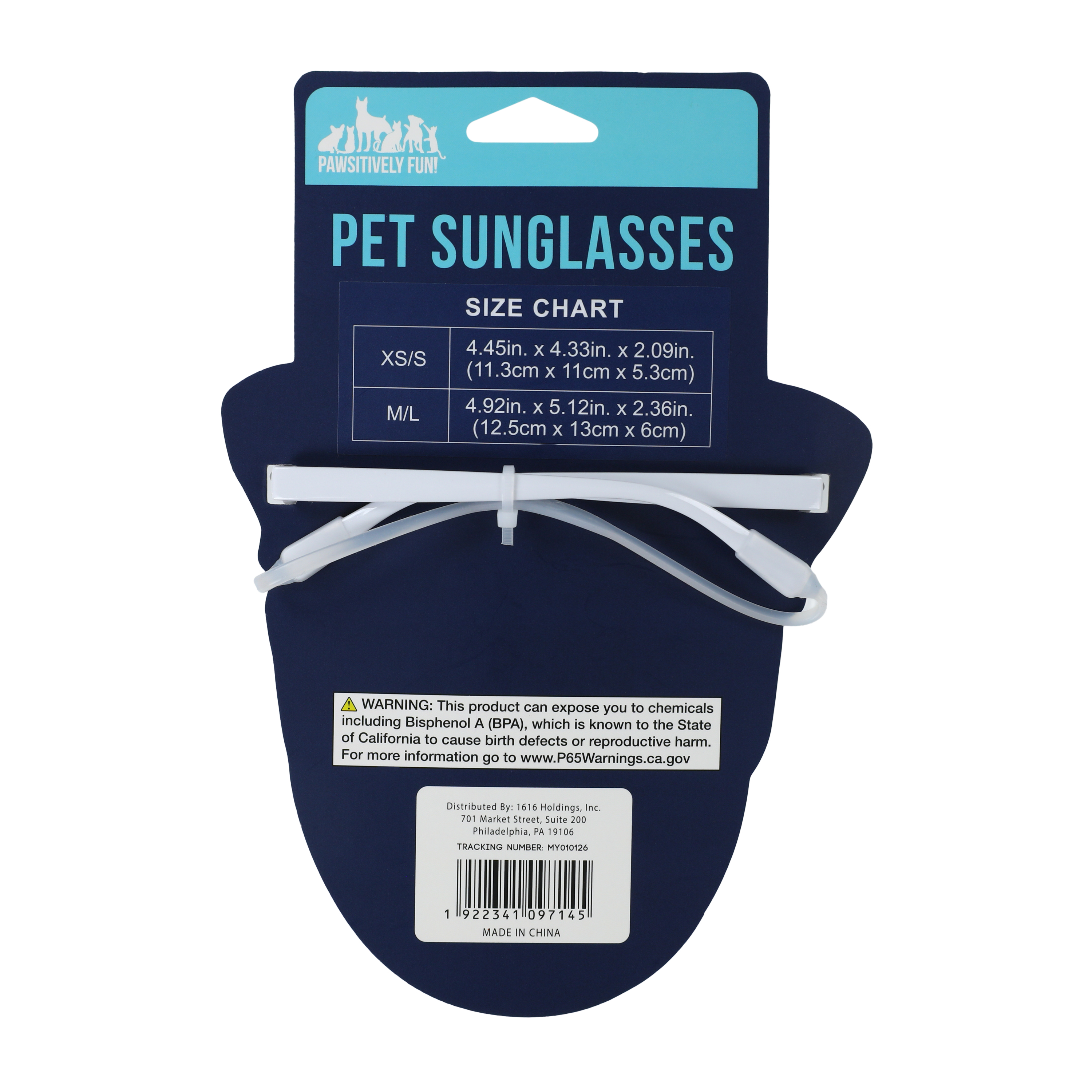 Pawsitively Fun! Pet Sunglasses