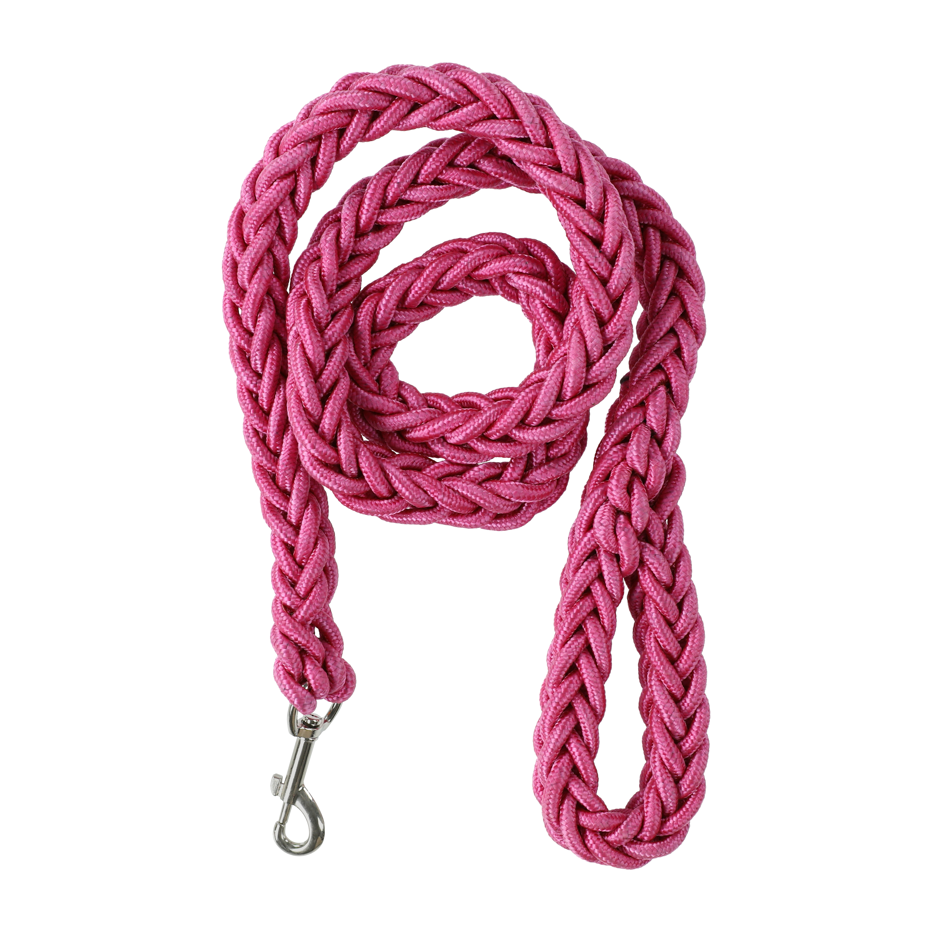 Braided Pet Leash 4ft