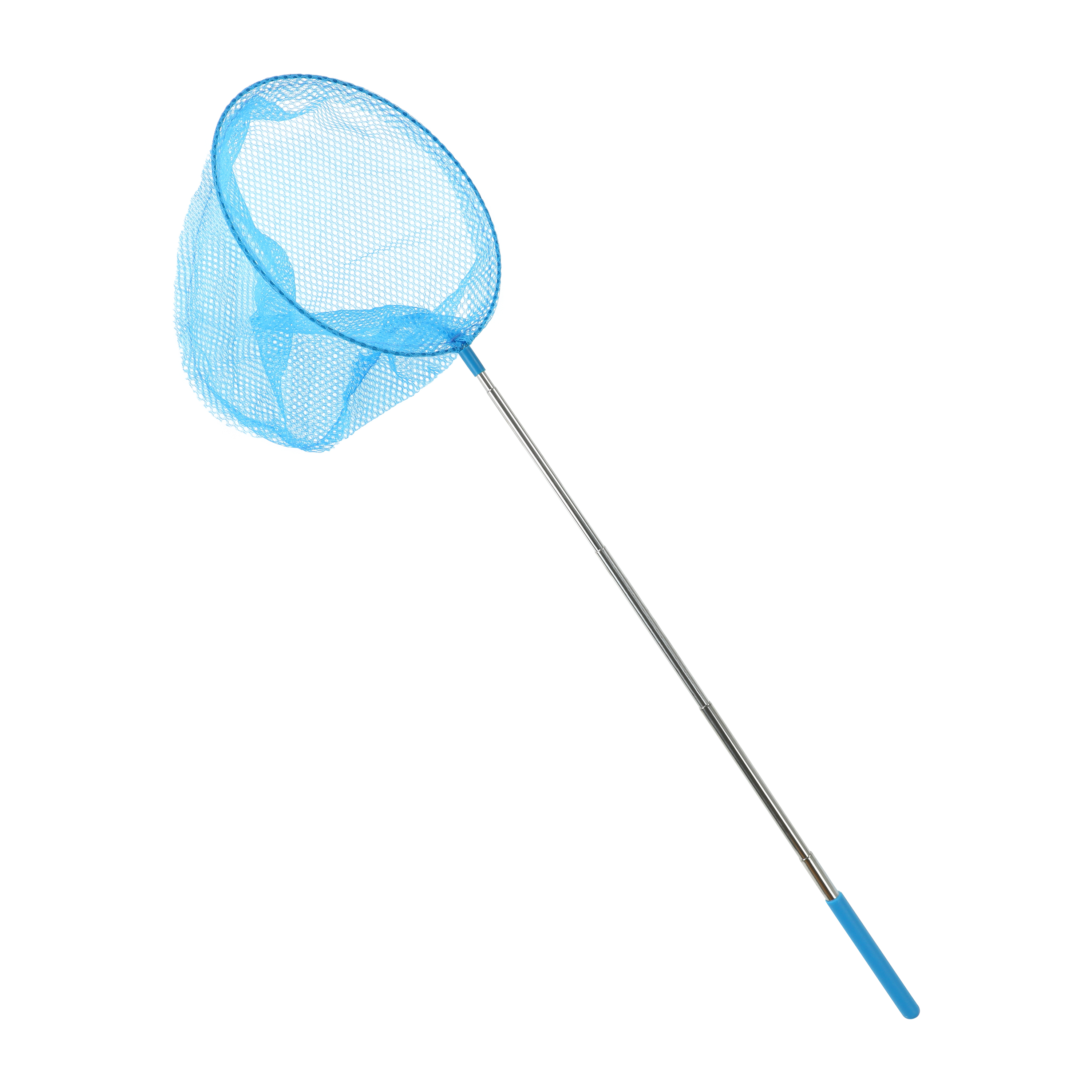 Extendable Butterfly Catcher