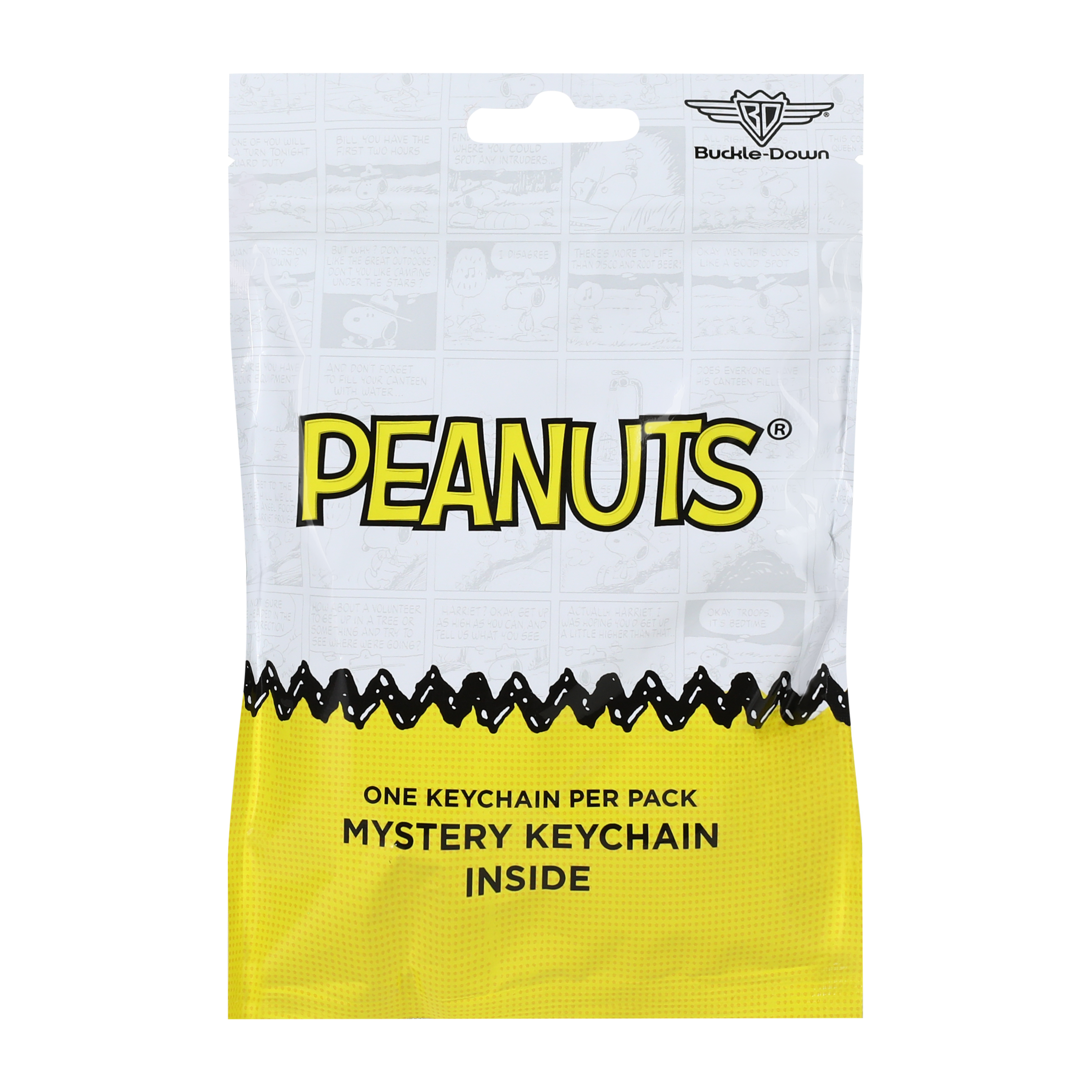 Peanuts® Mystery Keychain Pack (Styles May Vary)