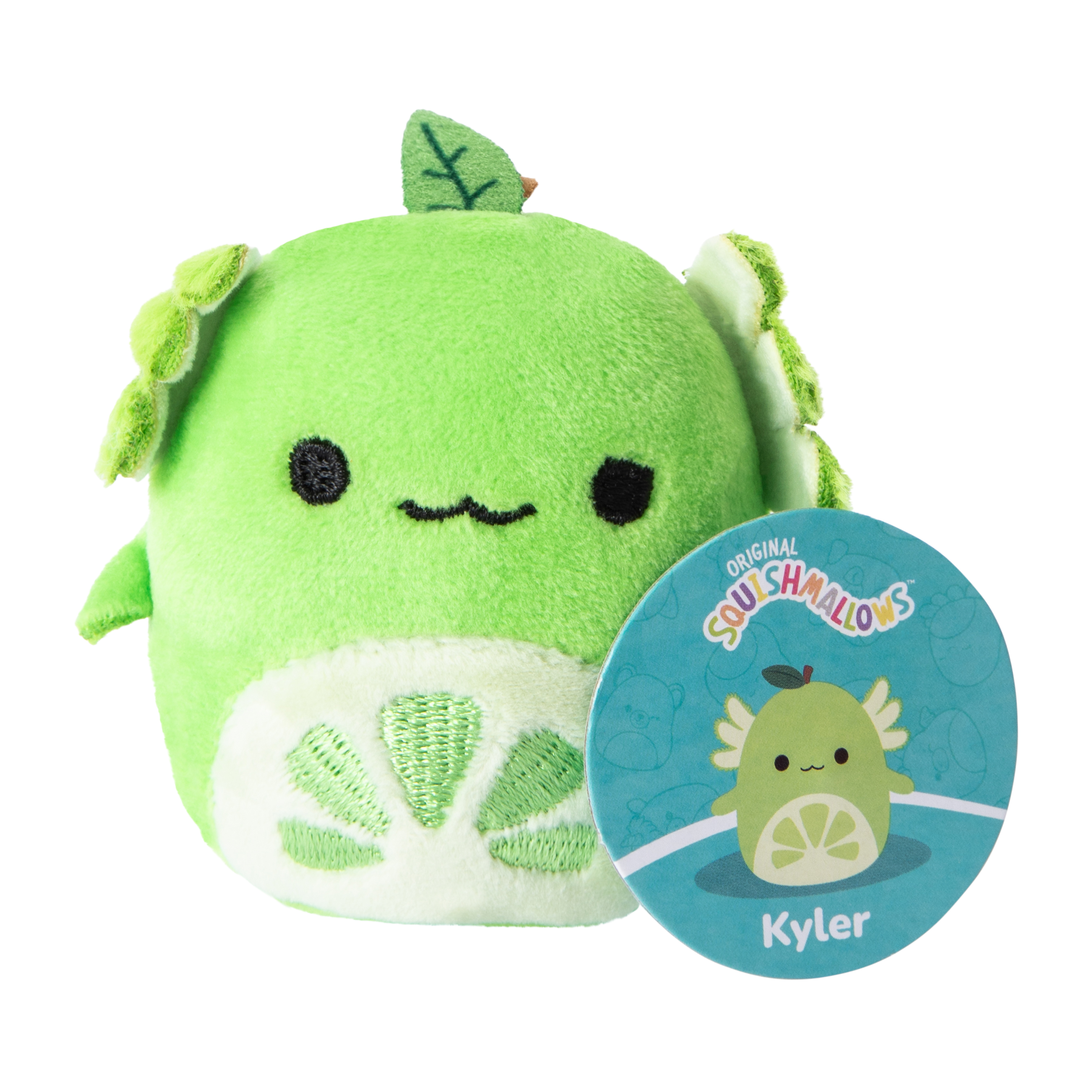 Squishmallows™ Mystery Squad Toy (Styles May Vary)