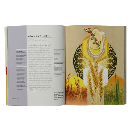 Product full size image