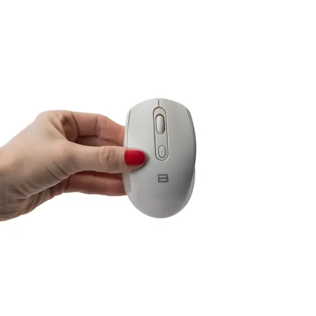 Wireless Optical Mouse