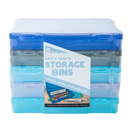 Arts & Crafts Storage Bins 5-Count