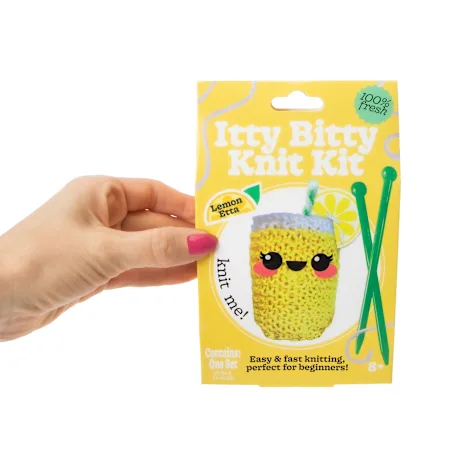 Foodie Itty Bitty Knit Kit Set