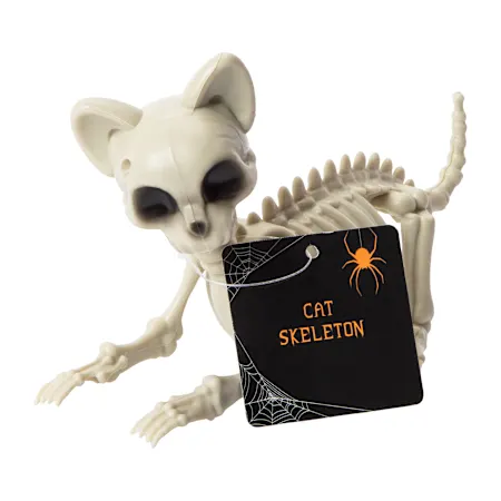 Halloween Cat Skeleton | Five Below