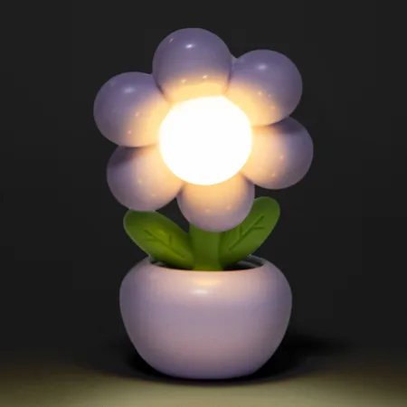 Mini Desk Lamp