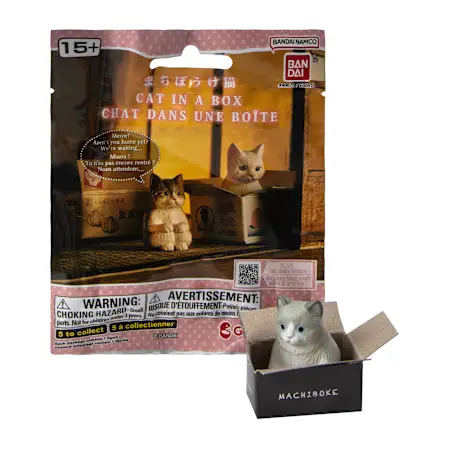 Cat In A Box (Styles May Vary) | Five Below
