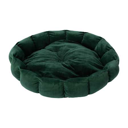 Product full size image