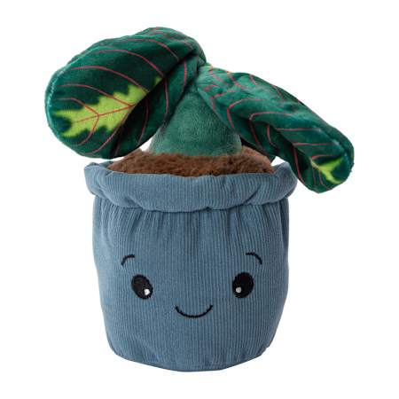 Product full size image