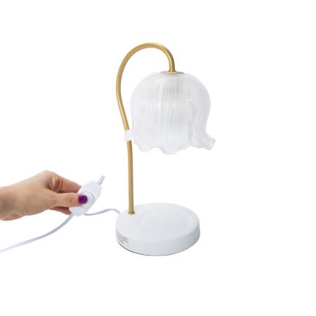Product full size image