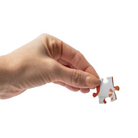 Product full size image