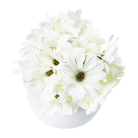 Product full size image
