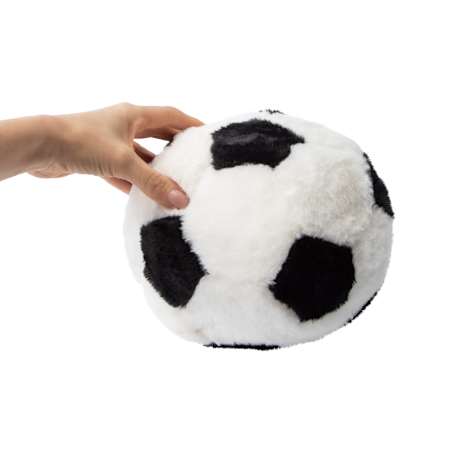 Product full size image