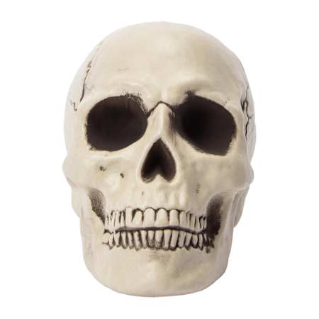 Product full size image