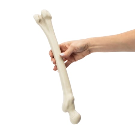 Product full size image