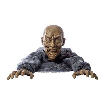 Product full size image