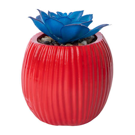 Product full size image