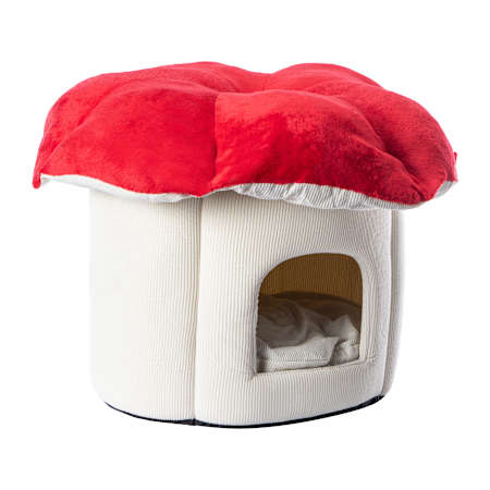 Product full size image