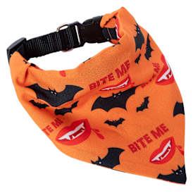 Halloween Pet Collar & Bandana Set