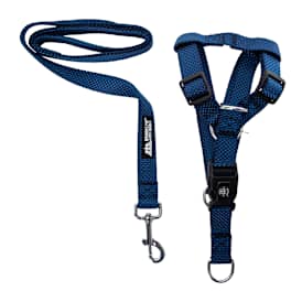 Large Dog Harness & Leash Set