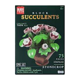 Block Tech® Succulents Block Set