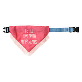 Pet Social Dog Bandana