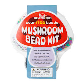 DIY Bead Kit With Over 1700 Beads