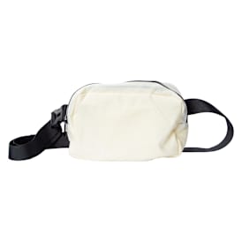 Everything Belt Bag 9.5in x 8in