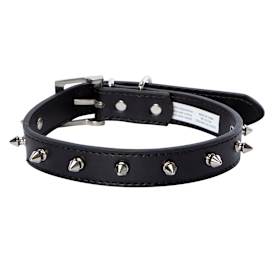 Spike Dog Collar, Large