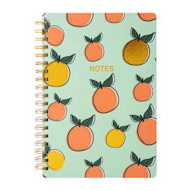 Twin Wire Spiral Bound Journal