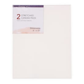 Stretched Canvas 2-Pack 8in x 10in