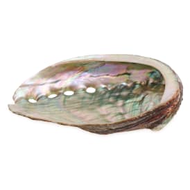 Natural Abalone Shell Smudging Dish