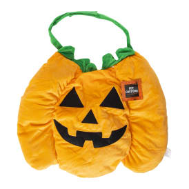 pumpkin halloween pet costume