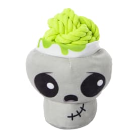Halloween 2-in-1 Dog Toy