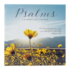 16-Month 2024 Wall Calendar | Five Below
