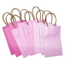 10-Pack Small Kraft Gift Bags 8.35in x 5.2in